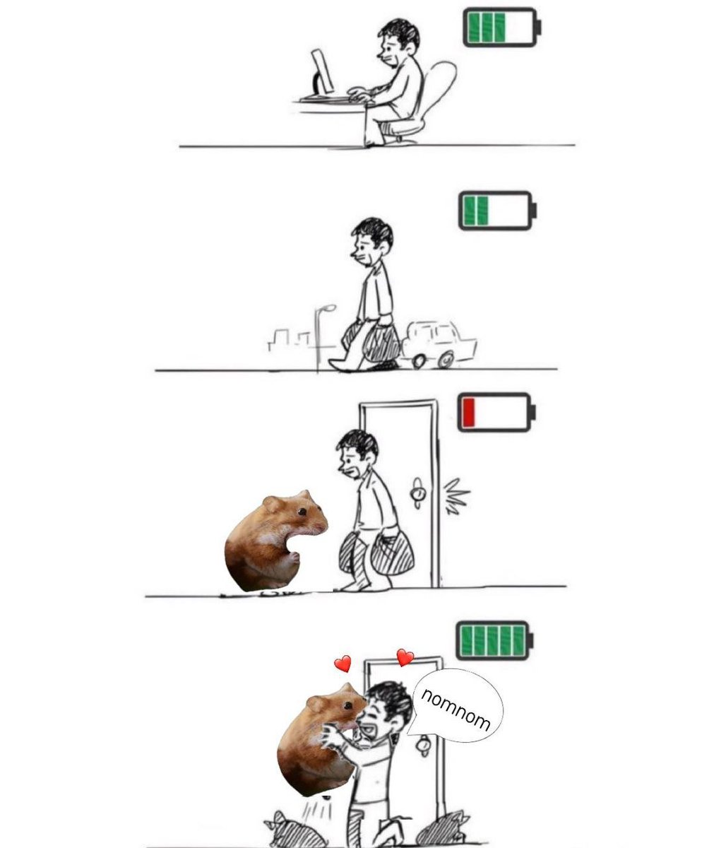 - Long day?
- Recharge with $nomnom — 🐹❤️