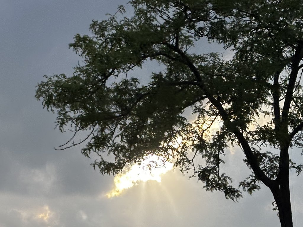 Jeem196's tweet image. Please pray for my mom, who fell asleep in the Lord yesterday. This was a horrific accident, completely unexpected. Words fail to convey my anger and my sorrow.