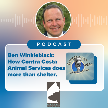 🎙️🐾 Fur Real: Inside Contra Costa Animal Services 🐾
Meet the team keeping pets &amp; people safe! Director Ben Winkleblack &amp; PIO Steve Burdo show how the shelter rescues, reunites &amp; supports the community every day. 🐶🐱 #AnimalServices 
 
🎧Listen now:  bit.ly/4c2BibG