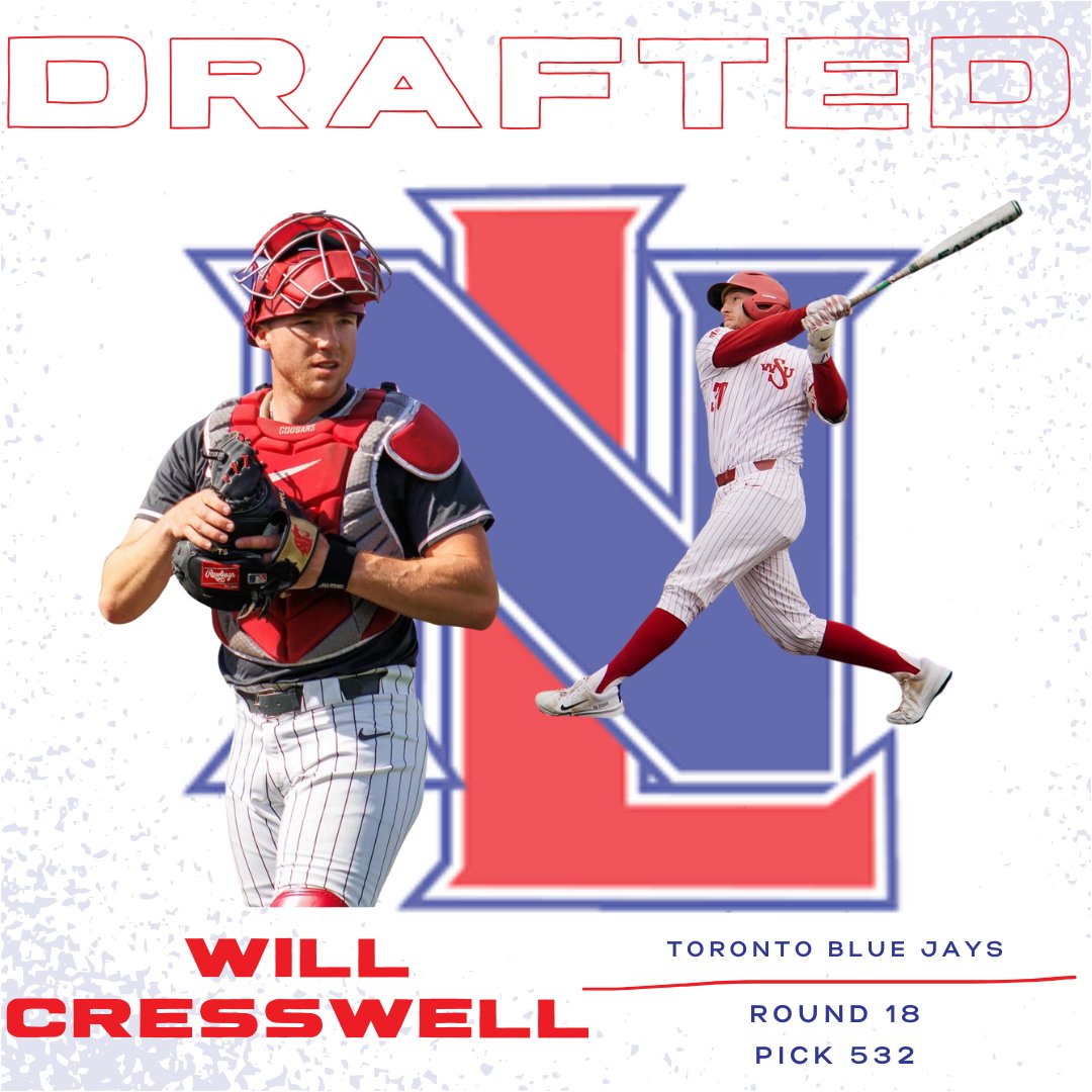 New Level 360 - Baseball and fastpitch tweet media