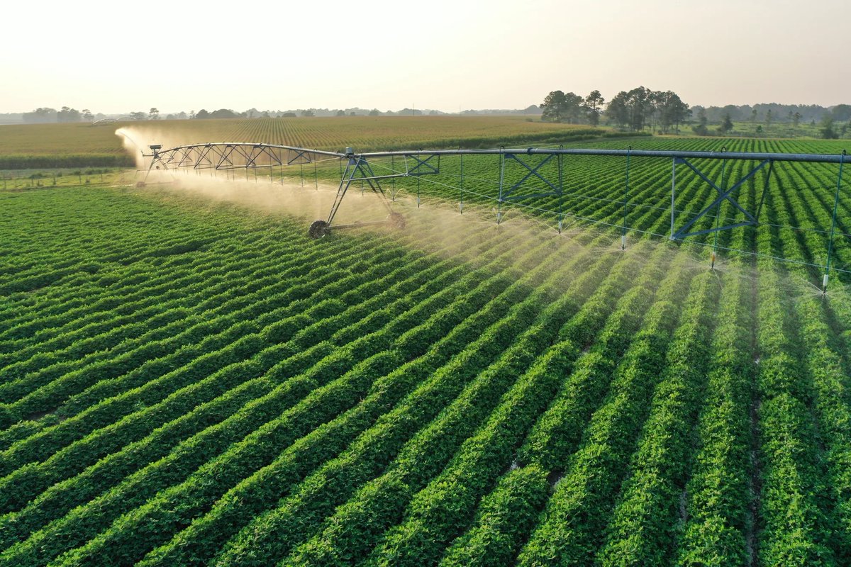 This month’s calendar spotlight: “Evening Shower Courtesy of Valley Irrigation” captured by Charles Fowler in Turner County.
There’s nothing quite like the golden light of summer and the steady rhythm of irrigation keeping Georgia crops thriving.
