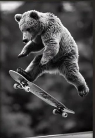 "Chi"ha paparazzato Javi sullo skateboard😅
#Helevier