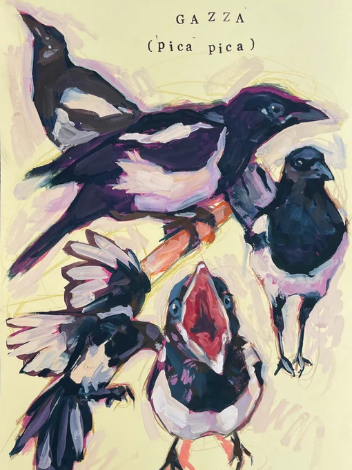 started volunteering at a local wildlife rehab center in march and i've decided i'm gonna paint a series of local animals :) here's the first!