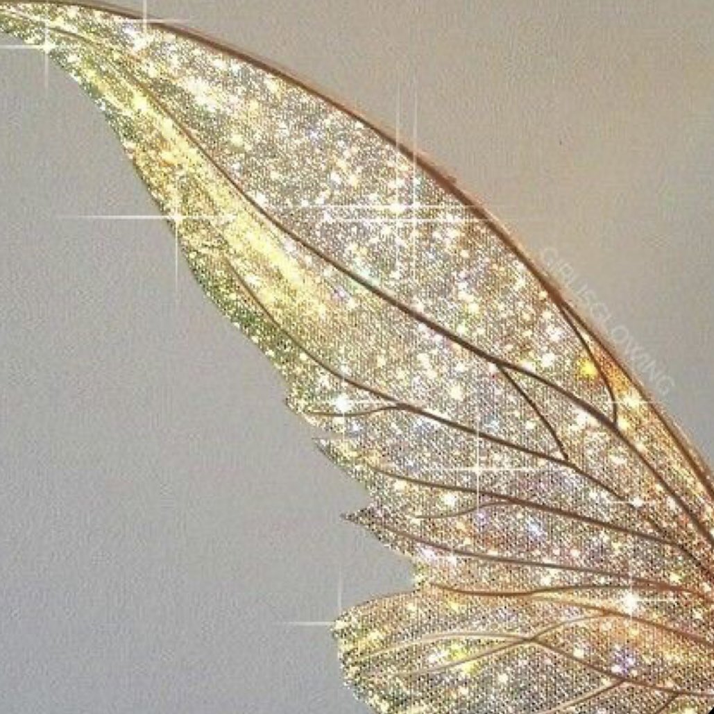 Mayy_L04's tweet photo. 📖 wings of starlight https://t.co/43B6d3RDEN