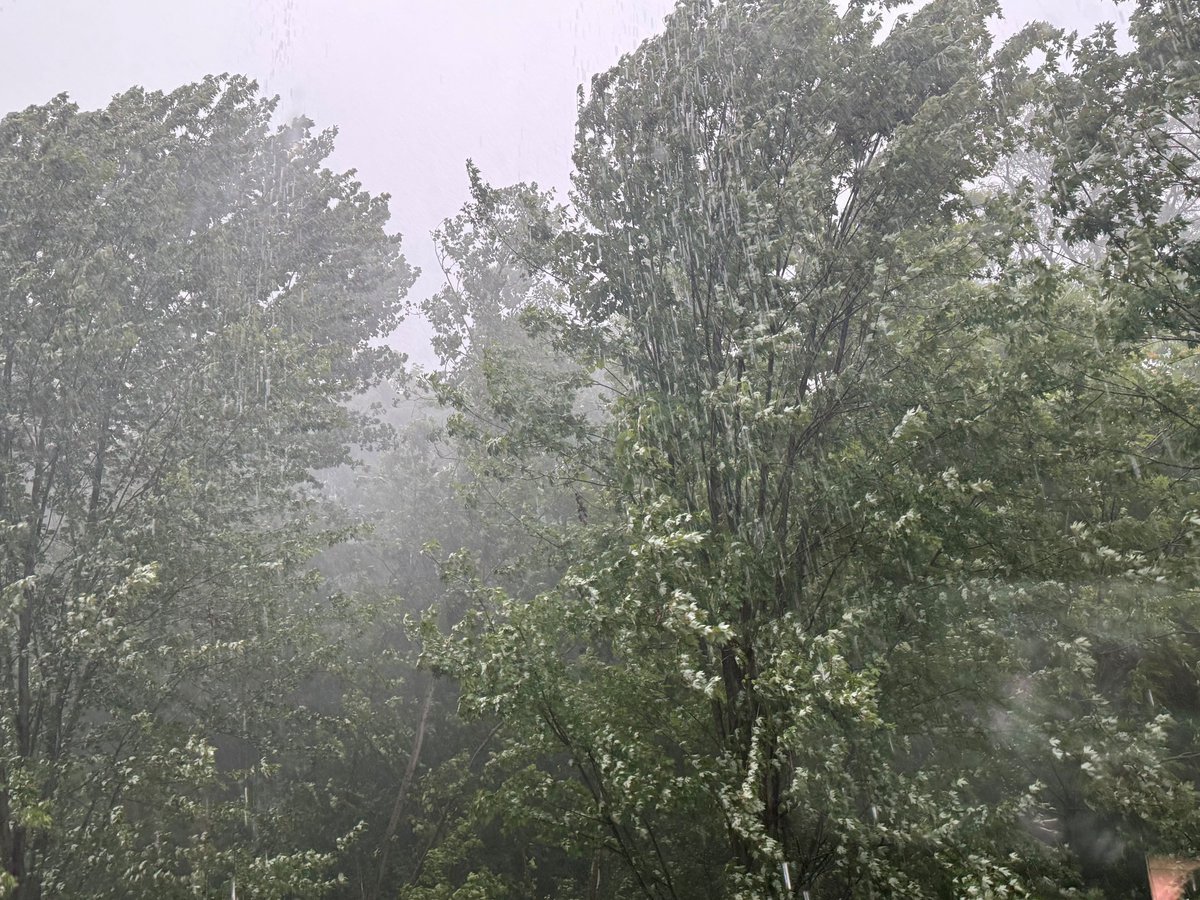 ReadyIllinois's tweet image. Got storms? Add photos and tell us your go-to weather preparedness tip.
#ILWx