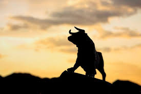 Why am I Bullish? Following will be incremental tailwinds:
1. AI &amp; Robotics are making companies more productive and it is still early 
2. Most CapEx and domestic R&amp;D are now fully expensed in the same year
3. Tariffs are getting worked out. They will bring in about $500B+ per