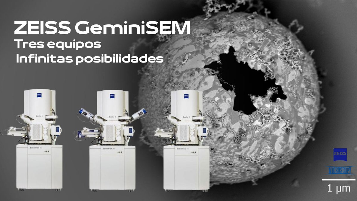 Microscopy SA 🔬🇦🇷 (@microscopy_sa) on Twitter photo 𝗚𝗲𝗺𝗶𝗻𝗶𝗦𝗘𝗠 de <a href="/zeiss_micro/">ZEISS Microscopy</a>: Imágenes de calidad excepcional, desde lo más pequeño hasta lo más grande sin complicaciones
✅Resolución increíble en cualquier muestra
✅Transiciones sin esfuerzo entre análisis
✅Tecnología inteligente que se adapta
👉shorturl.at/t33HS 𝗚𝗲𝗺𝗶𝗻𝗶𝗦𝗘𝗠 de <a href="/zeiss_micro/">ZEISS Microscopy</a>: Imágenes de calidad excepcional, desde lo más pequeño hasta lo más grande sin complicaciones
✅Resolución increíble en cualquier muestra
✅Transiciones sin esfuerzo entre análisis
✅Tecnología inteligente que se adapta
👉shorturl.at/t33HS
