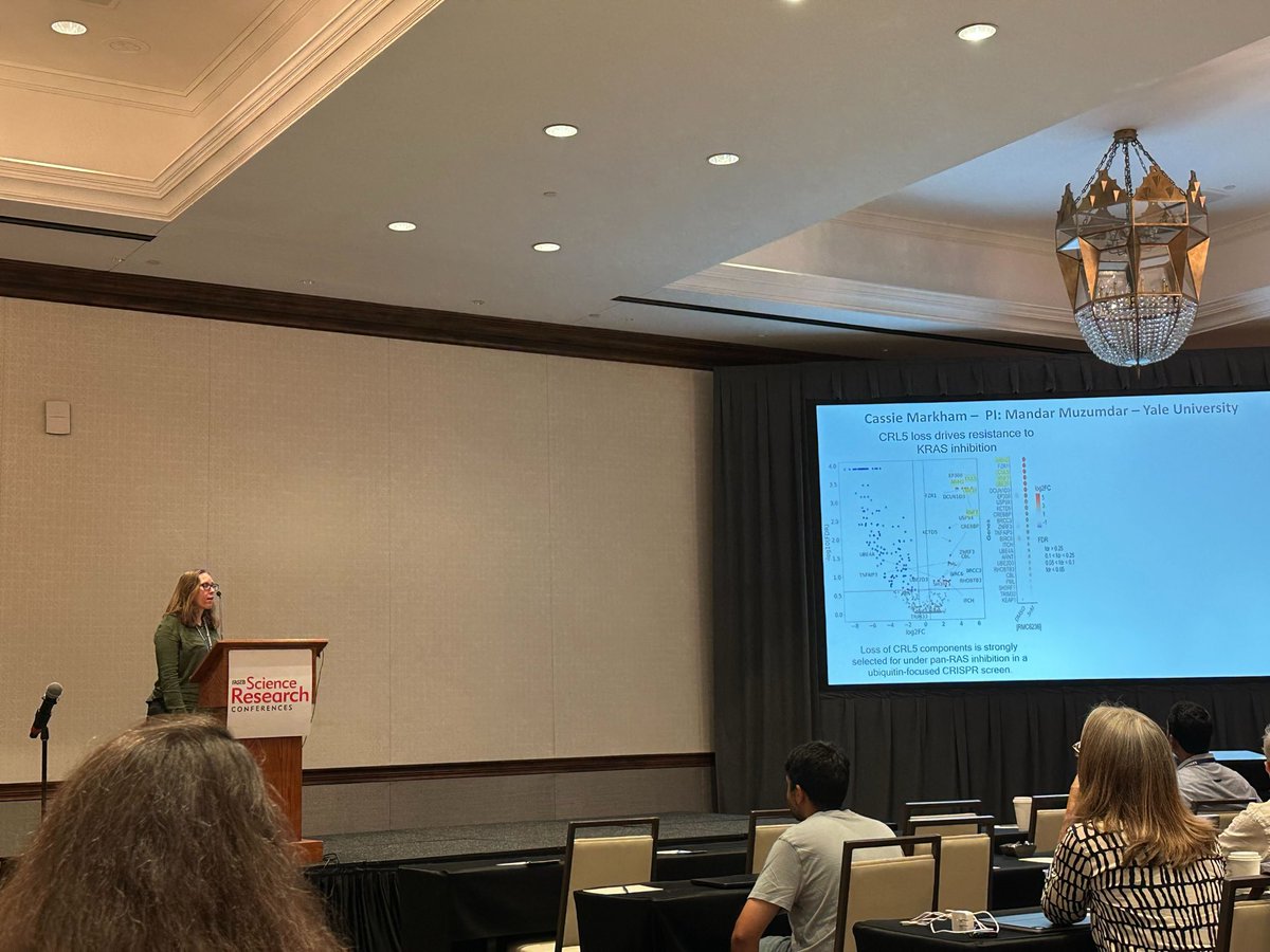 MuzumdarLab's tweet image. Stellar flash talk and poster presentation on #ubiquitination regulators in #KRAS inhibitor resistance by our own #CassieMarkham @FASEBorg Protein Phosphorylation! @YaleGenetics @YaleCancer @CancerYale