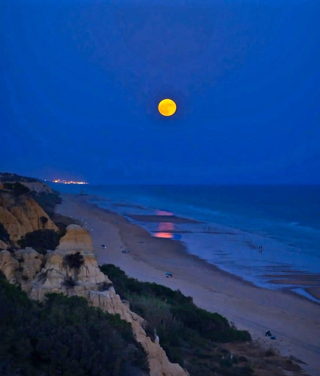 MeglioBello's tweet image. Pensavo che l’amore fosse eterno: avevo torto
Non servono
più le stelle: spegnetele
anche tutte;
imballate la luna, smontate pure
il sole;
svuotatemi l’oceano
e sradicate il bosco;
perché ormai nulla può giovare.
✒️. Wystan Hugh Auden
