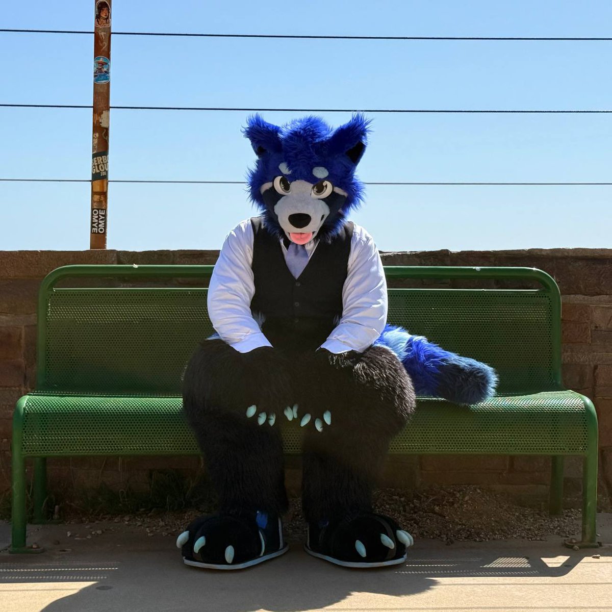 AcePandaMagic's tweet image. Heading to work
馃摲: @PepperPengu
馃馃У: @wolf_daz
#FursuitEveryday
