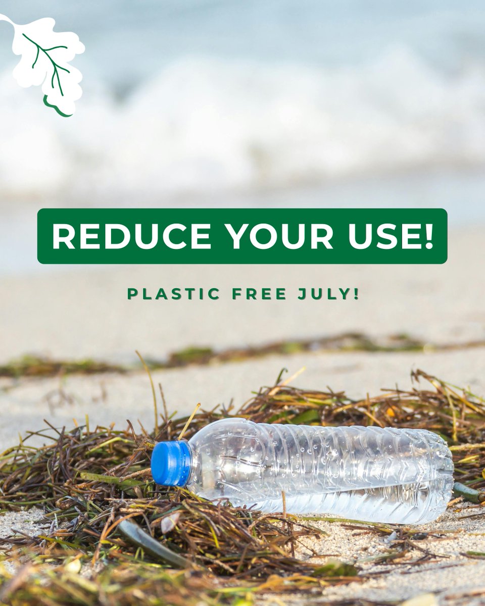 MassDEP's tweet image. It’s #WasteFreeWednesday ♻️Single-use plastics pollute the environment, harm wildlife, and have low recycling rates. Reducing your use of these items helps to protect our ecosystems and natural resources.
#PlasticFreeJuly #SmallStepsBigDifference #MassDEP #ReducePlastic