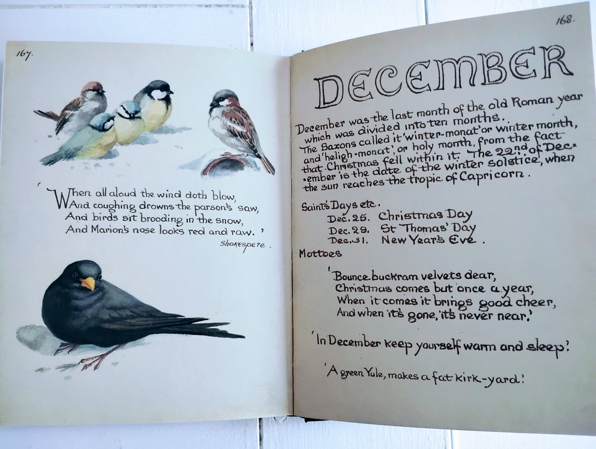SketchesbyBoze's tweet image. Today's library find: The Country Diary of an Edwardian Lady, by Edith Holden. These were seasonal notes made for her students in 1906 and never intended for publication. She fell into the Thames whilst gathering chestnut buds in 1920 and died aged 48.