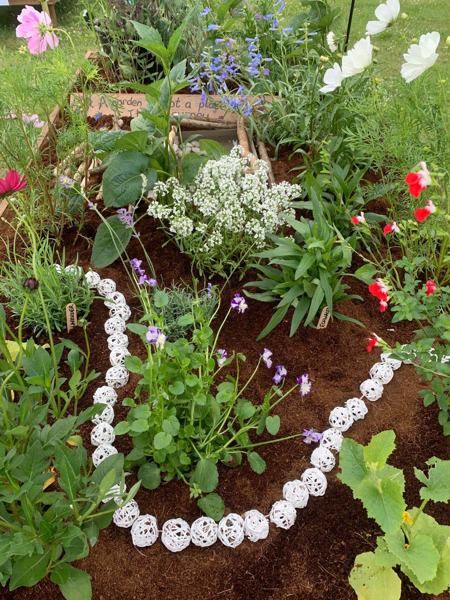 Matthew (Mr Salmon) tweet media