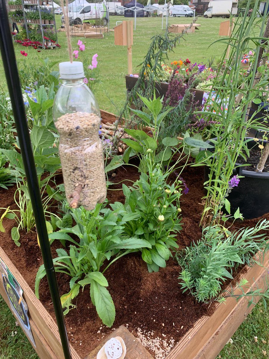 Matthew (Mr Salmon) tweet media