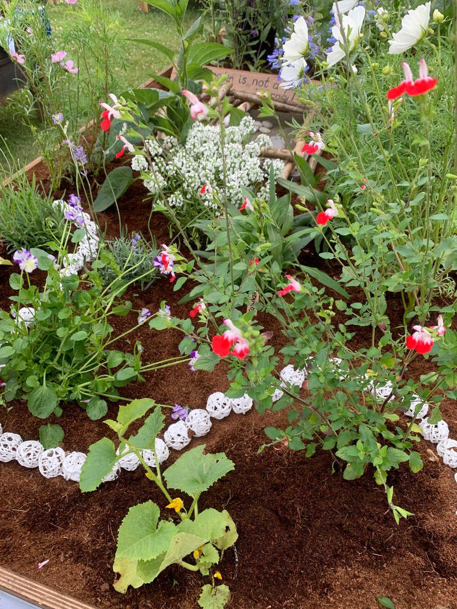 Matthew (Mr Salmon) tweet media