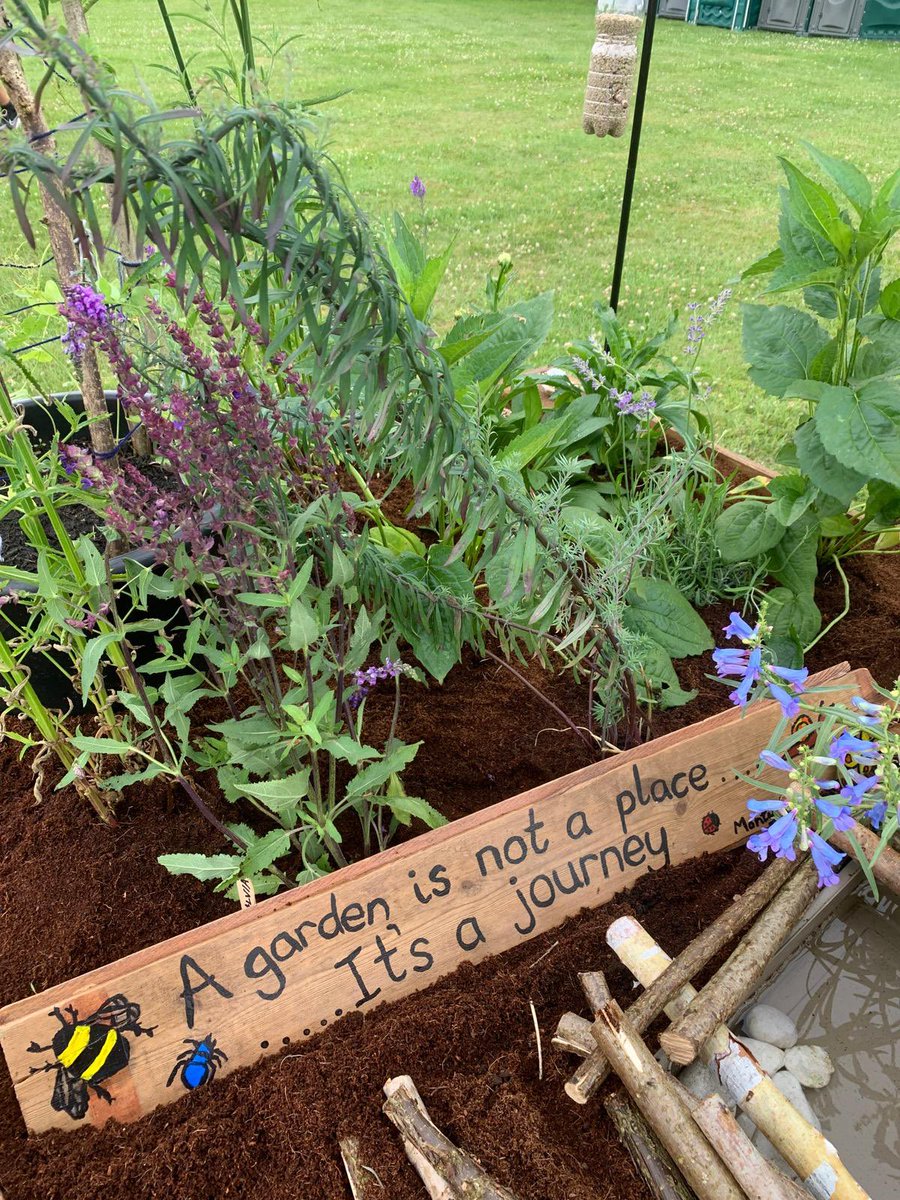 Matthew (Mr Salmon) tweet media