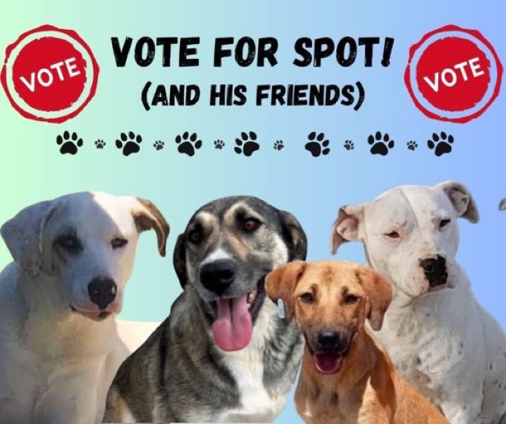 Lisa Clare Read 💙 (@lisaclareread2) on Twitter photo I’ve voted this week, have you ?Please don’t forget to vote this week & every week for <a href="/DogDeskAction/">Dog Desk Animal Action</a>
It’s FREE to do & will help them secure a much needed grant to help the dogs in their care 🐶 🤞
Link to vote below :
⬇️🙏
mygivingcircle.org/dog-desk-anima…
#woofwoofwednesday #support I’ve voted this week, have you ?Please don’t forget to vote this week & every week for <a href="/DogDeskAction/">Dog Desk Animal Action</a>
It’s FREE to do & will help them secure a much needed grant to help the dogs in their care 🐶 🤞
Link to vote below :
⬇️🙏
mygivingcircle.org/dog-desk-anima…
#woofwoofwednesday #support
