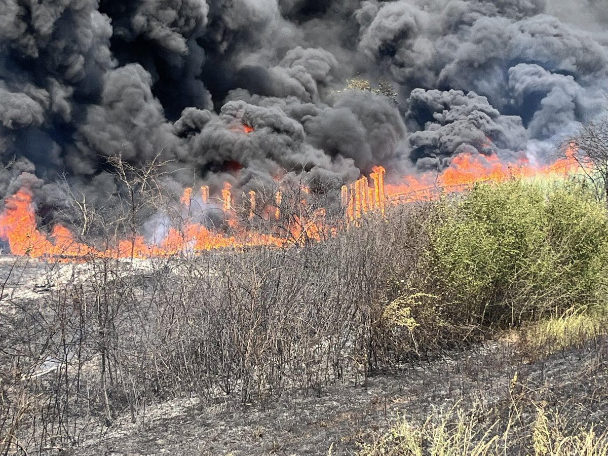 stuartg917's tweet image. A local nature reserve has been destroyed by fire causing £100k of damage (arson is suspected by the fire brigade). Created, managed &amp;amp; developed by local volunteers they are understandably devastated. Any help would be greatly appreciated gofund.me/3ba0e8b2