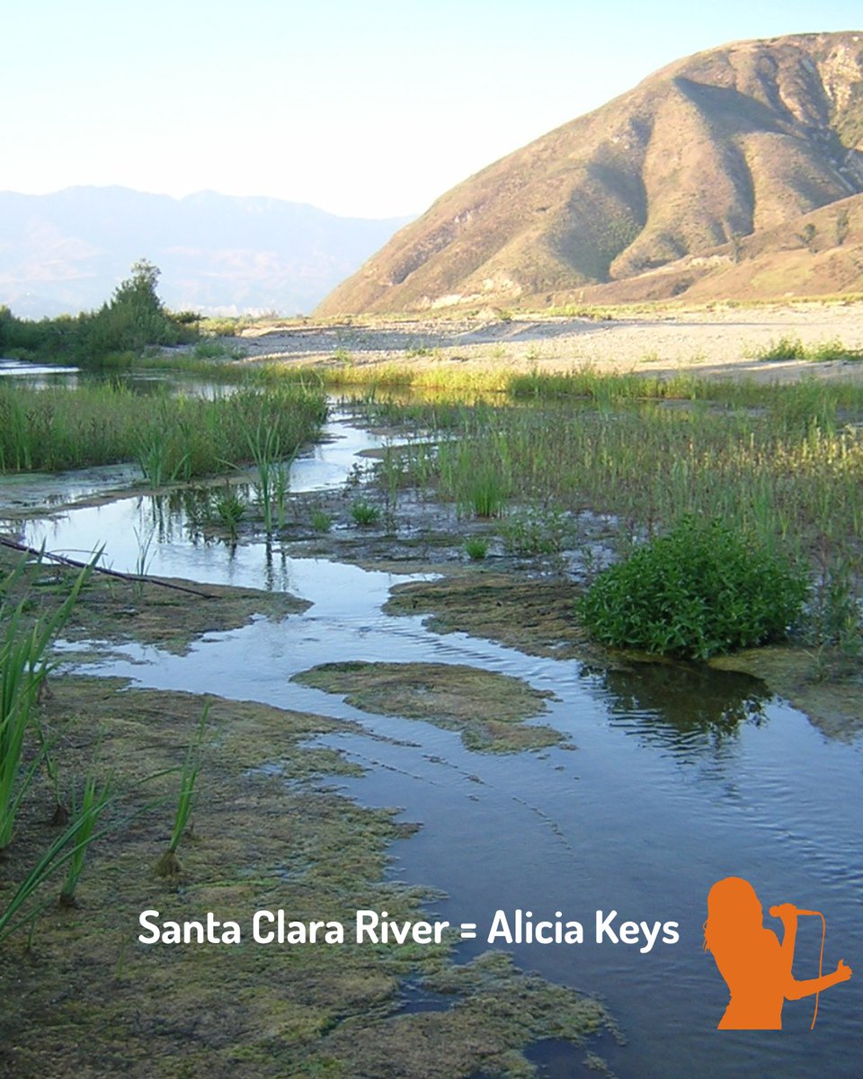 CalTrout's tweet image. 🤸 🌊All you nature lovers know that rivers & streams have personalities.
So, if California's waterways were celebrities... who would they be?! 👉 Swipe to see our ideas. Which waterway-celebrity combo made you do a double take?! And what's YOUR take? Reply below! ⬇️