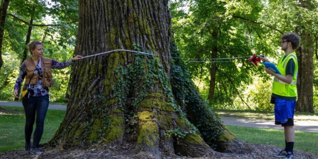 FROM PAPER TO DIGITAL: Eugene’s Leap Forward
 Eugene is embracing the future by transitioning to TreePlotter, a cloud-based GIS platform designed for urban forestry:
bit.ly/3IljVIu  
bit.ly/4kyk74t