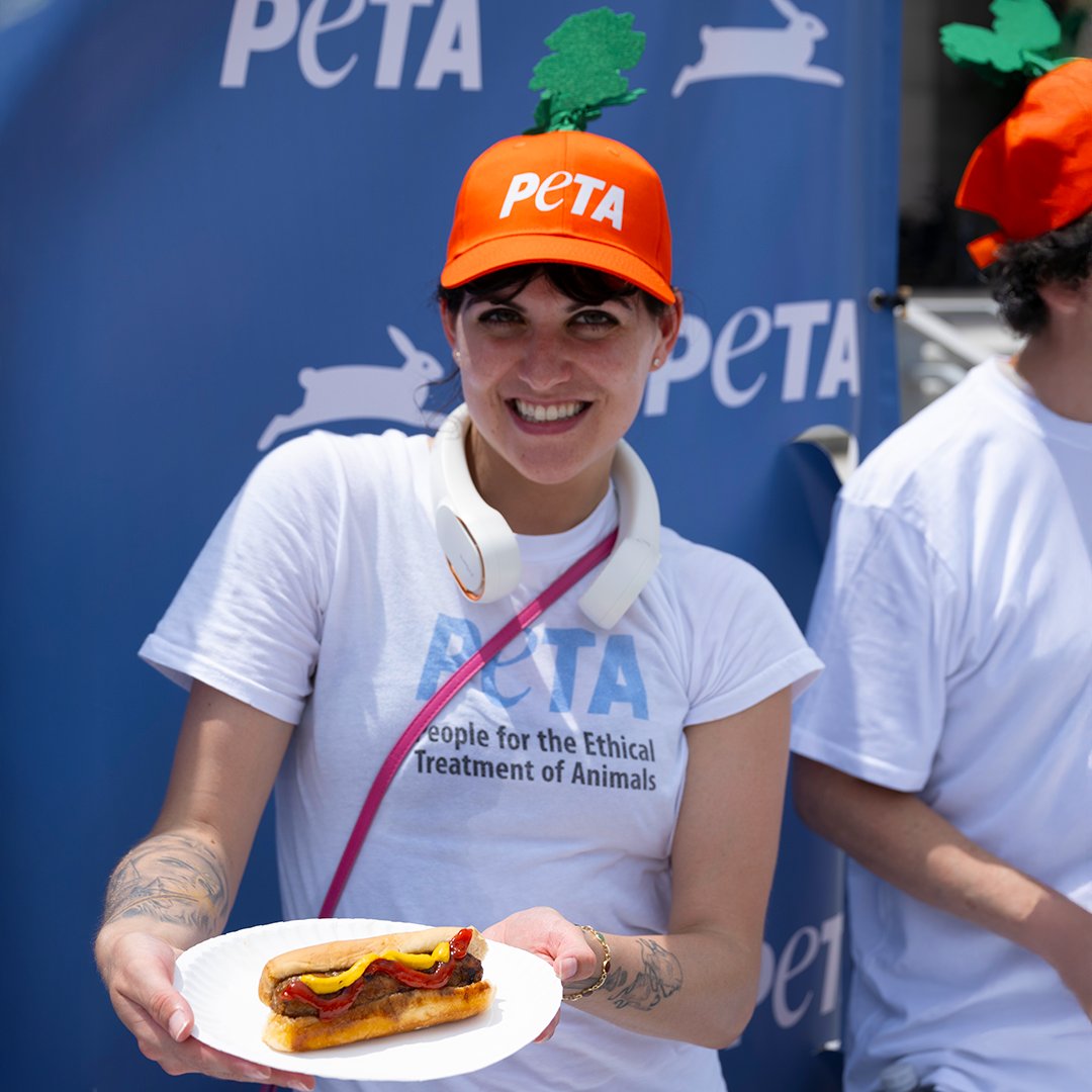 🥕 Chris P. Carrot is on Capitol Hill for a #NationalHotDogDay tradition 🌭

He’s serving up FREE sizzling vegan hot dogs for our annual Congressional Veggie Dog Lunch!