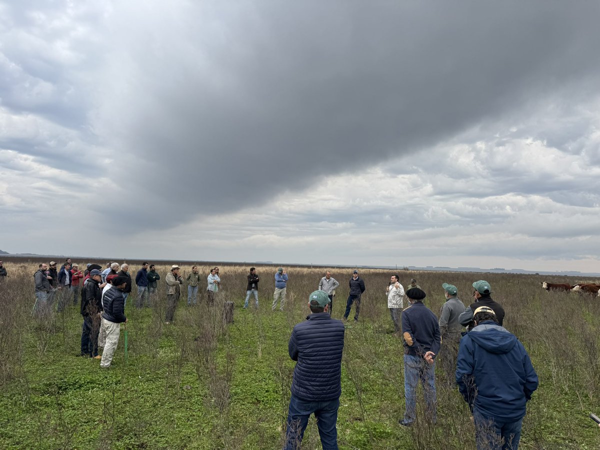 PabloLlovet1's tweet photo. INIA en el cierre de proyecto FPTA 381 de Arroz Ganadería en región norte. Gracias ACA y IPA por llevar adelante el proyecto, agradecemos también a todos los productores que fueron parte del mismo ayudando a generar conocimientos para el sector.@PlanAgro https://t.co/GmM9eTs7nb