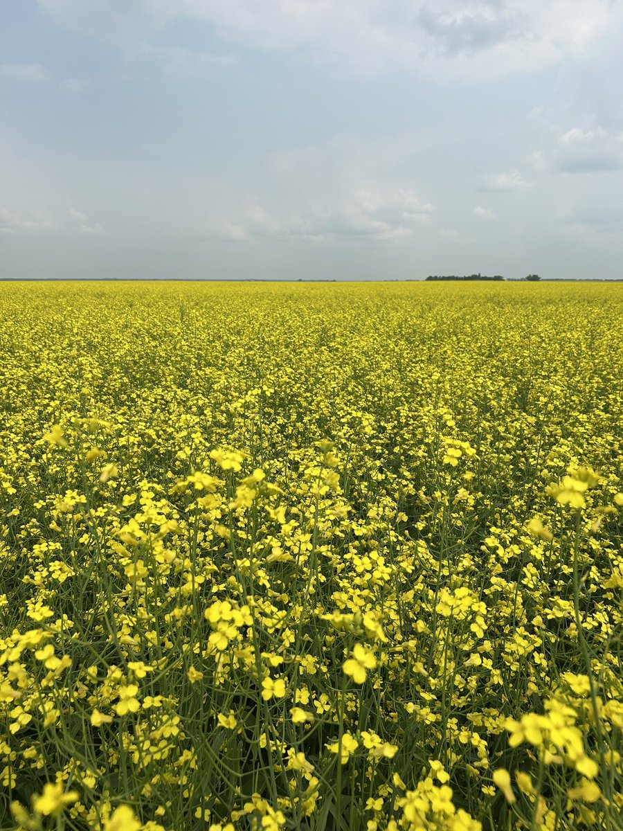 Stuart Leonard tweet media