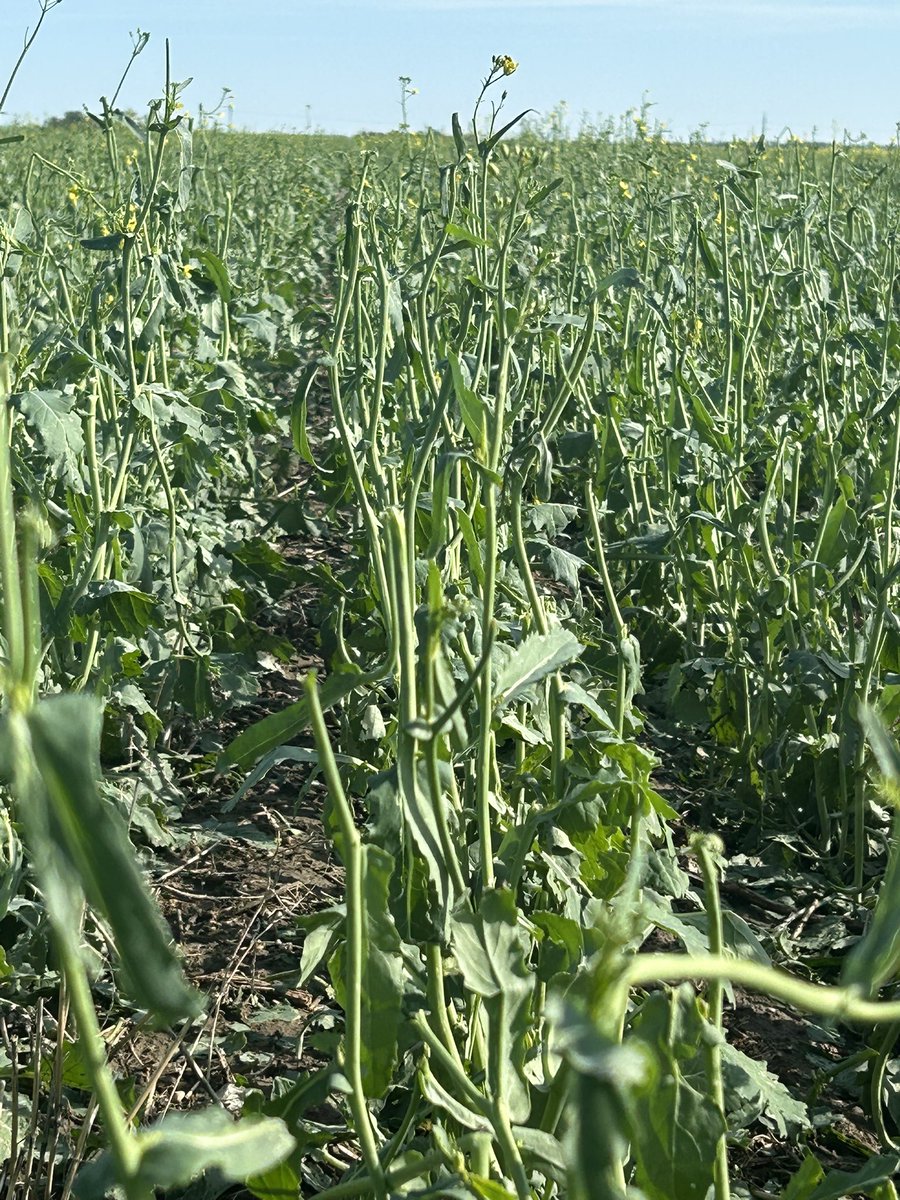 Stuart Leonard tweet media