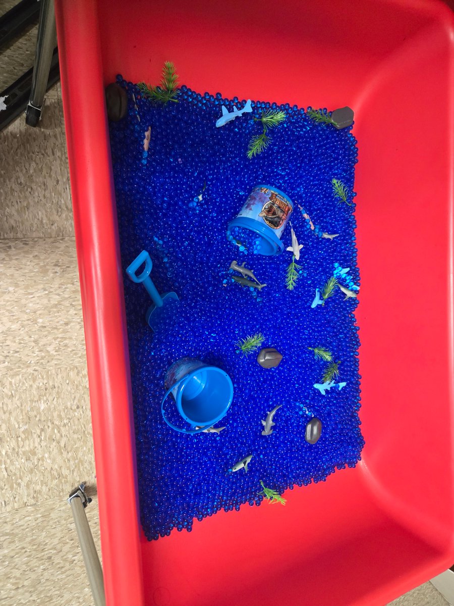 EglinLibrary's tweet image. 🦈📚 Thank you to the all the little sharks and their families who joined us for our Shark Story Time today! #sharktales #SummerReading  #libraryevents #summerreading2025 #eglinlibrary