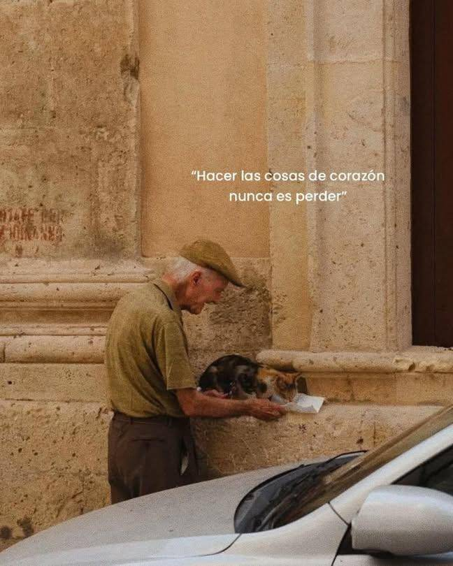 BANDIDOS (@bandidosfrasess) on Twitter photo 