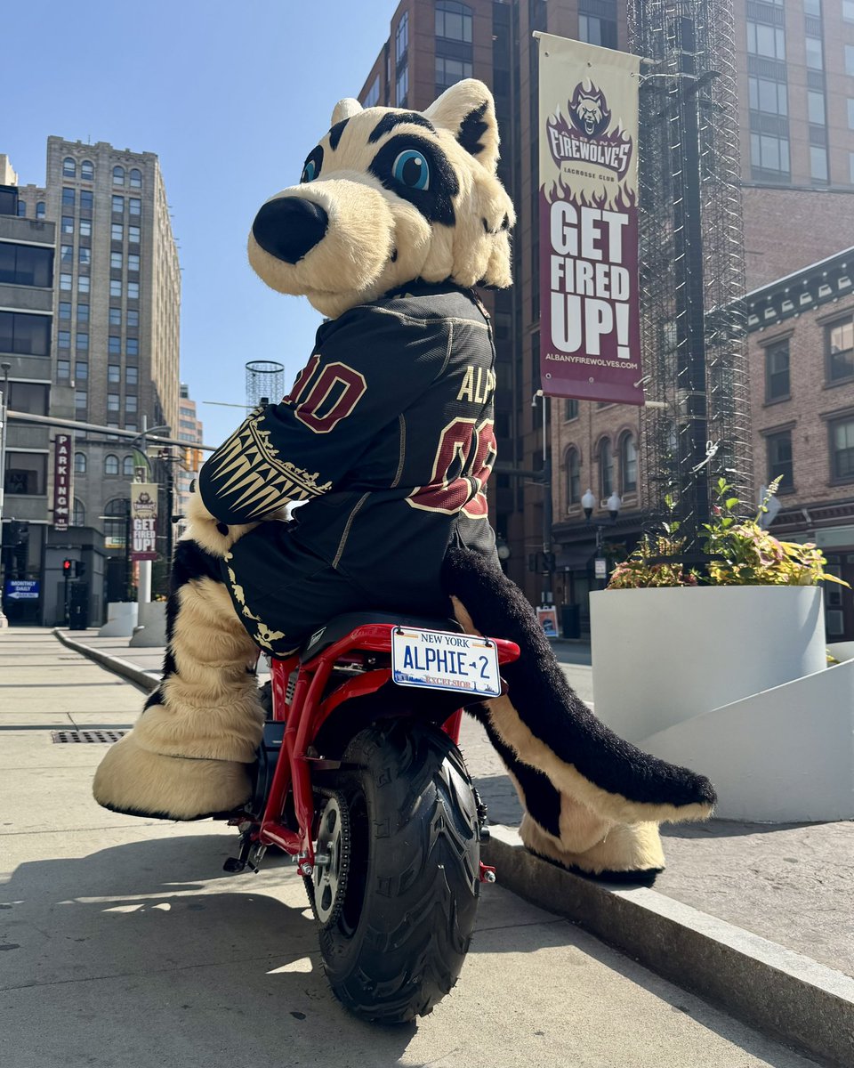 AlbFireWolves's tweet image. Look out Albany, Alphie has himself a set of wheels 🏍️
Keep your 👀 as you might see him rolling around town!
#GetFiredUp🔥