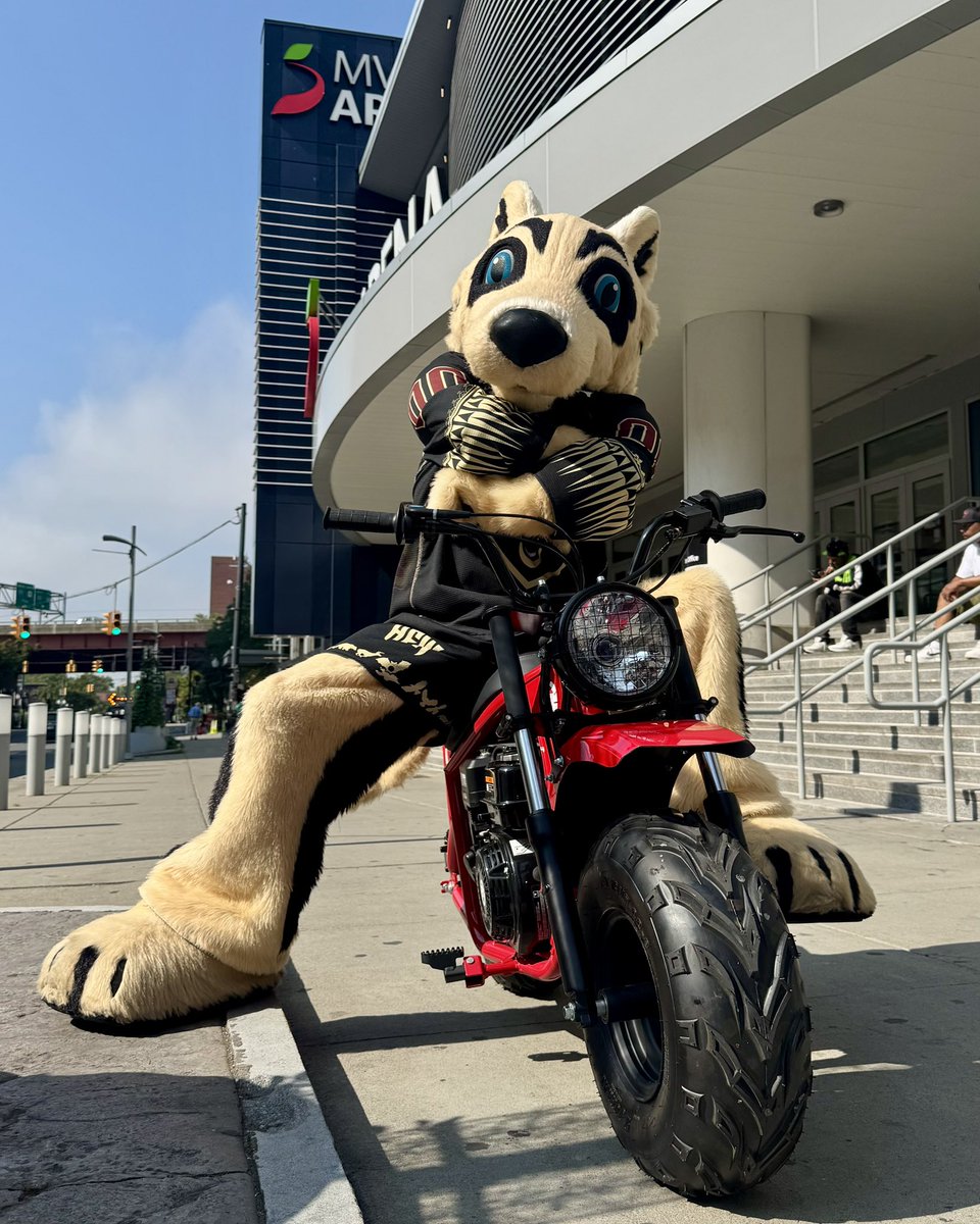 AlbFireWolves's tweet image. Look out Albany, Alphie has himself a set of wheels 🏍️
Keep your 👀 as you might see him rolling around town!
#GetFiredUp🔥