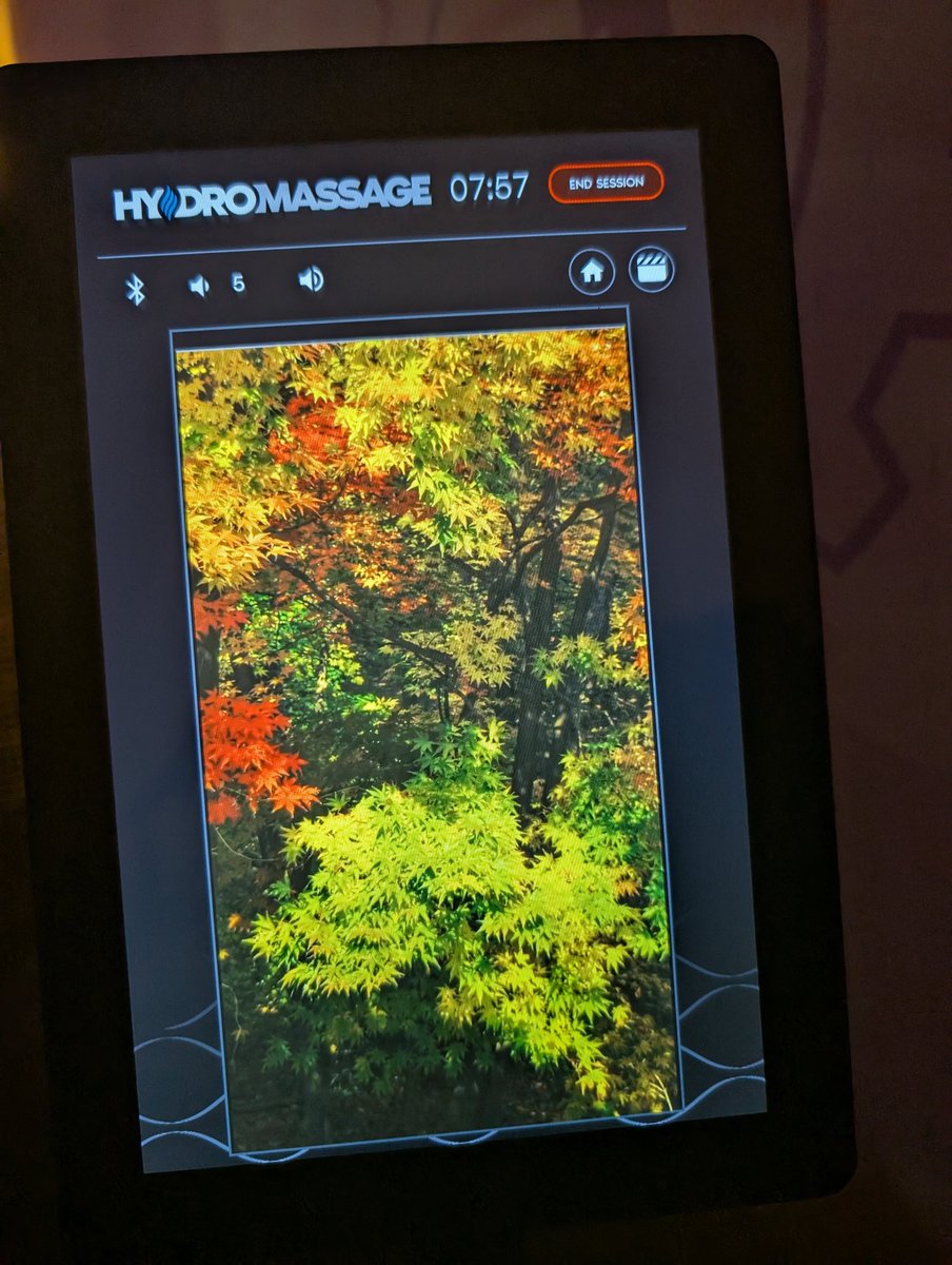 NickRigamarole's tweet image. Planet fitness got new massage chairs and I can finally hamster-max. Yes plz keep playing my "enchanted autumn" slop