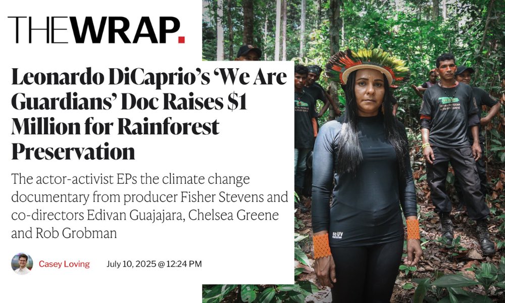 dceff_org's tweet image. Incredible news! A testament to the power of environmental storytelling and to the quality of the work put in by the WE ARE GUARDIANS team - both on and off the screen. thewrap.com/leonardo-dicap…