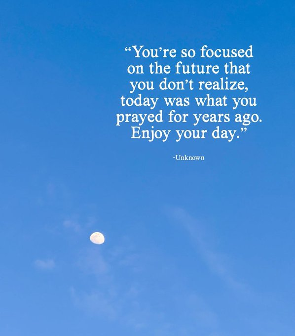 Mindful Maven tweet media