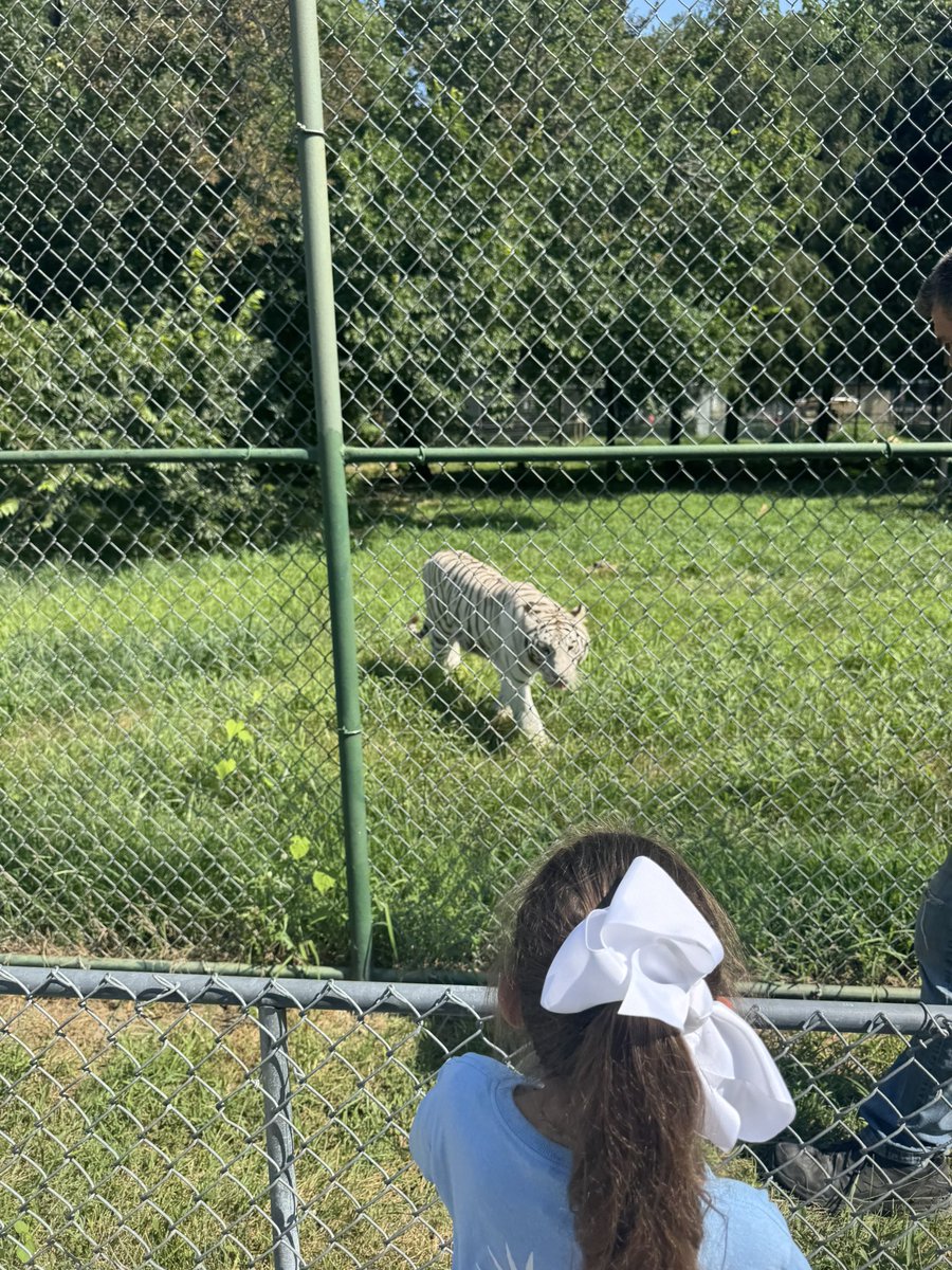 Madison Summer Camp had a great time at Stillwell Park and Cedar Cove!