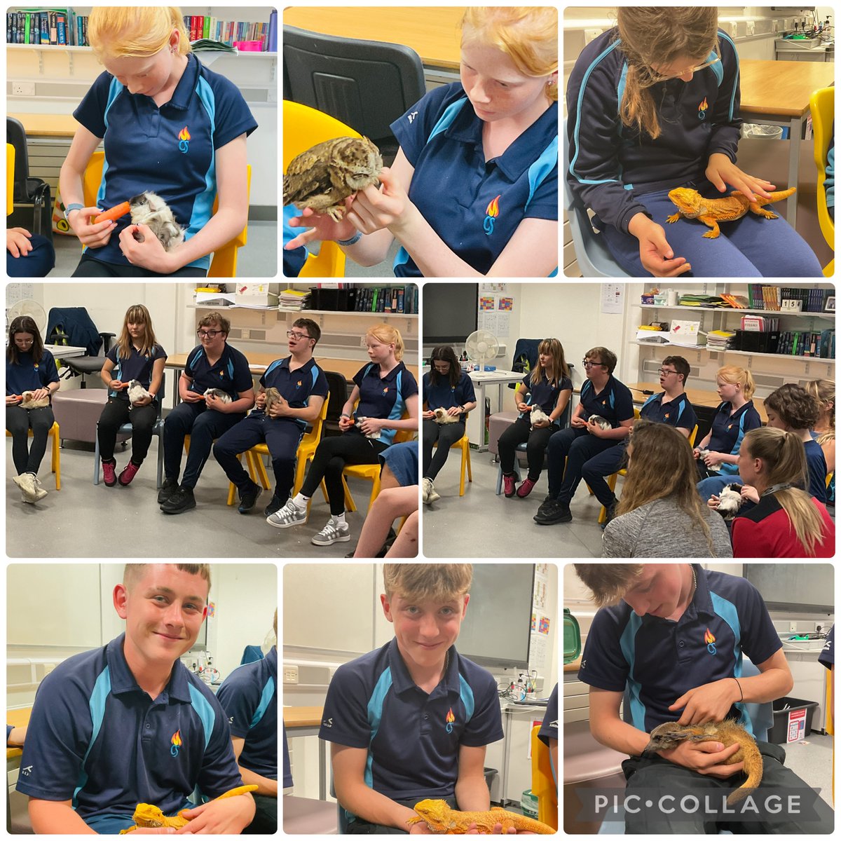 Year 9  enjoying their animal encounter as part of our summer learning week ☀️🐾