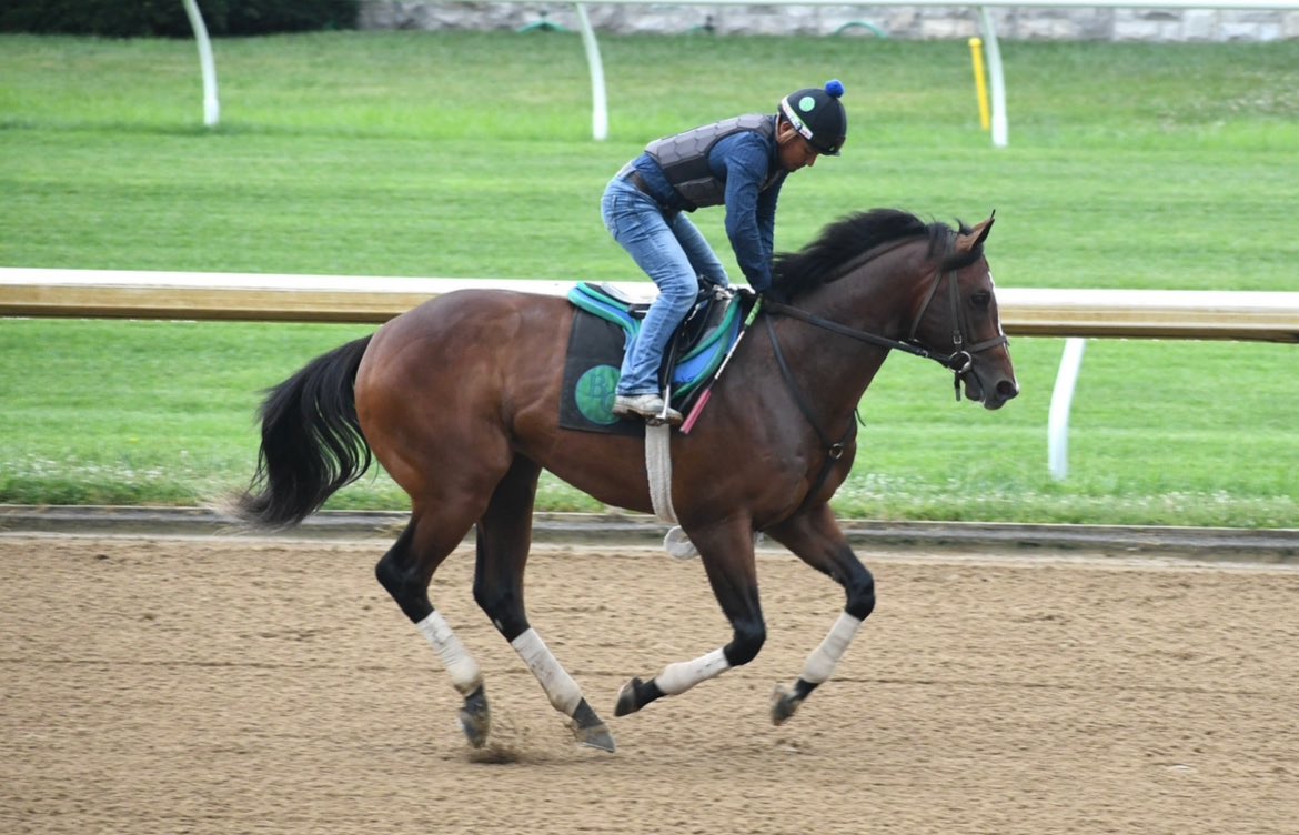 LNJ Foxwoods (@lnjfoxwoods) on Twitter photo I LOVE FULL CIRCLE โญ๏ธ MOMENTS
MEET OUR HOMEBRED "GALLIVANT," FANCY DRESS PARTY'S 2-YR-OLD INTO-MISCHIEF COLT IN TRAINING WITH HIS MOMMA'S TRAINER BEN COLEBROOK <a href="/colebrookstable/">Colebrook Racing</a>.
PICS OF FANCY'S G3 BEAUMONT WIN <a href="/keeneland/">Keeneland</a> ๐ โก๏ธto Momma @gainesway โก๏ธGALLIVANT ๐คตโโ๏ธ๐ฟ I LOVE FULL CIRCLE โญ๏ธ MOMENTS
MEET OUR HOMEBRED "GALLIVANT," FANCY DRESS PARTY'S 2-YR-OLD INTO-MISCHIEF COLT IN TRAINING WITH HIS MOMMA'S TRAINER BEN COLEBROOK <a href="/colebrookstable/">Colebrook Racing</a>.
PICS OF FANCY'S G3 BEAUMONT WIN <a href="/keeneland/">Keeneland</a> ๐ โก๏ธto Momma @gainesway โก๏ธGALLIVANT ๐คตโโ๏ธ๐ฟ