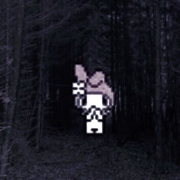 Astro || SHTWT tweet media