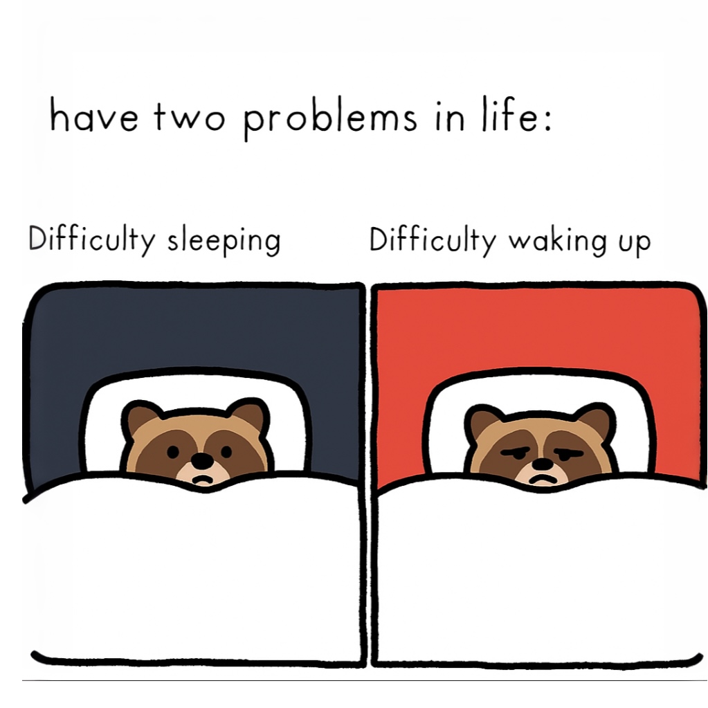 raccoon aesthetic. (@raccoonesthetic) on Twitter photo 