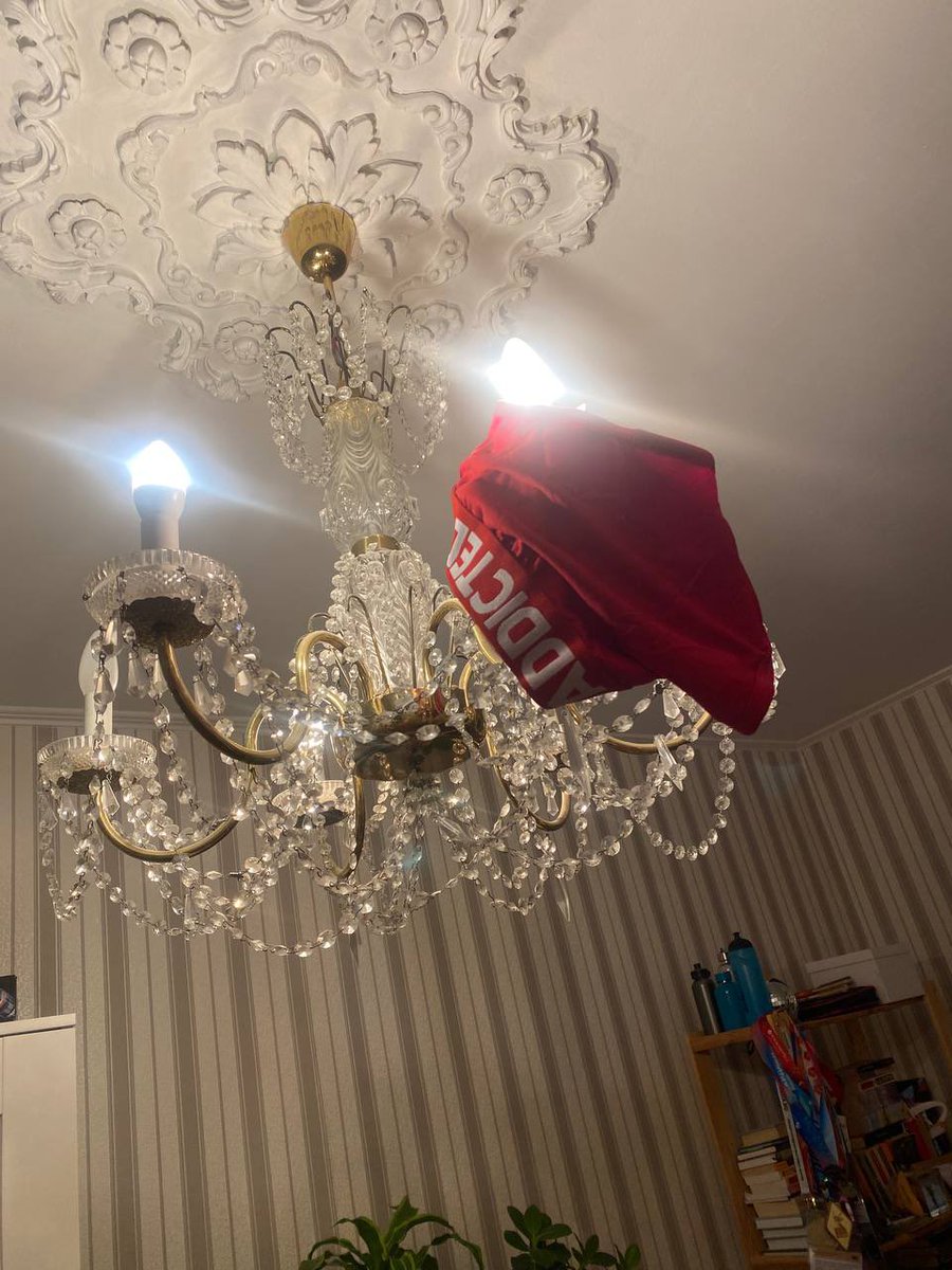 Так выглядит отчаяние …