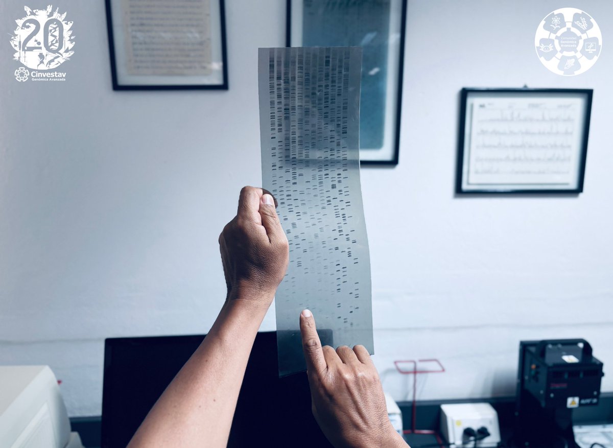 Unidad de Genómica Avanzada del Cinvestav tweet media