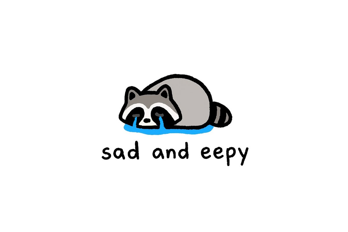 raccoon aesthetic. (@raccoonesthetic) on Twitter photo 