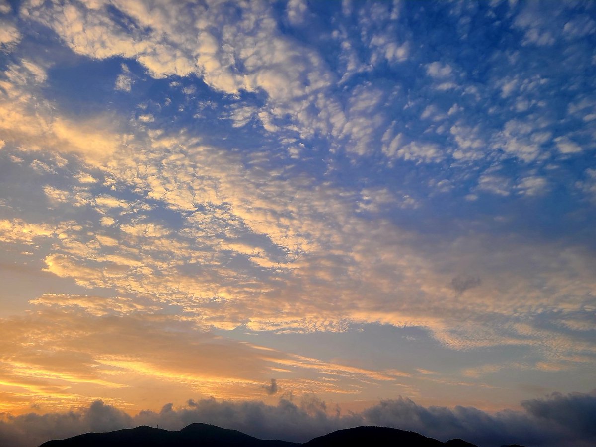 soma6503's tweet image. おはようございます😊
よい日でありますように🍀
🍃☁️☁️
#イマソラ