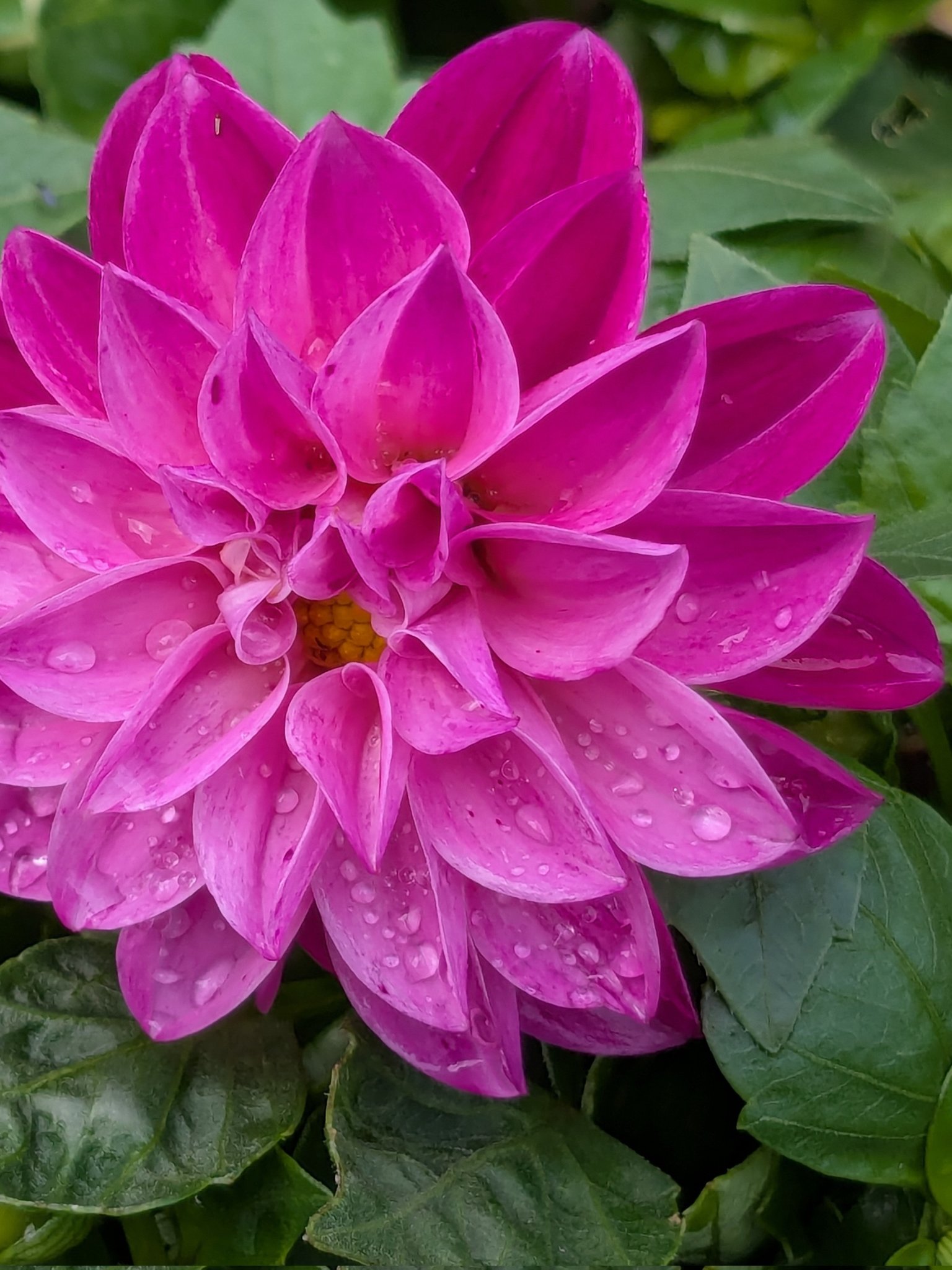 花花♡ページ　他の方購入不可 うに🧡 on X: 