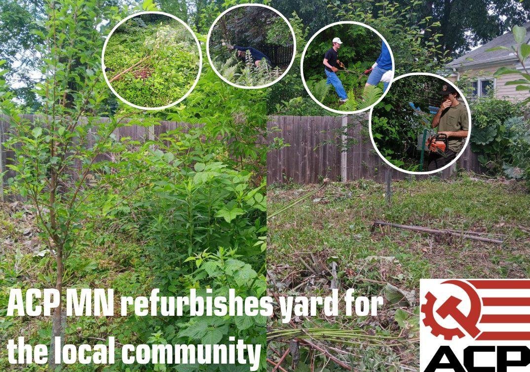 ACP_Minnesota's tweet image. This last week ACP MN spent several hours helping an older couple revitalize their yard by cutting down old trees and pulling out unwanted vegetation.
The couple was very pleased with the final result.