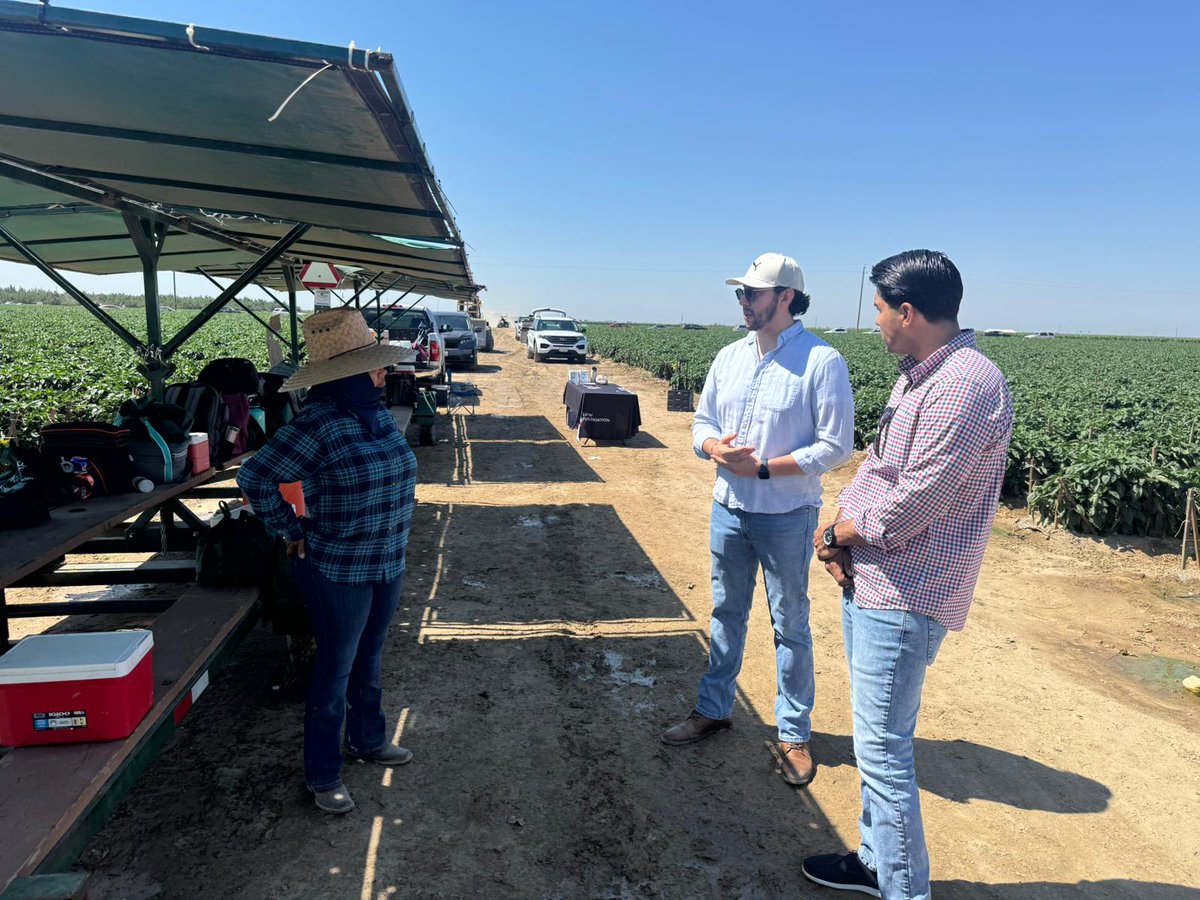 ConsulMexFresno's tweet image. 📌Con la @ufwfoundation, visitamos a una cuadrilla de trabajadores agrícolas en la ciudad de #Laton 👨‍🌾Orientamos sobre los #ServiciosConsulares, incluyendo las ventanillas comunitarias y el Departamento de #ProtecciónConsular. 📋E informamos sobre “Conoce y Ejerce tus Derechos”.