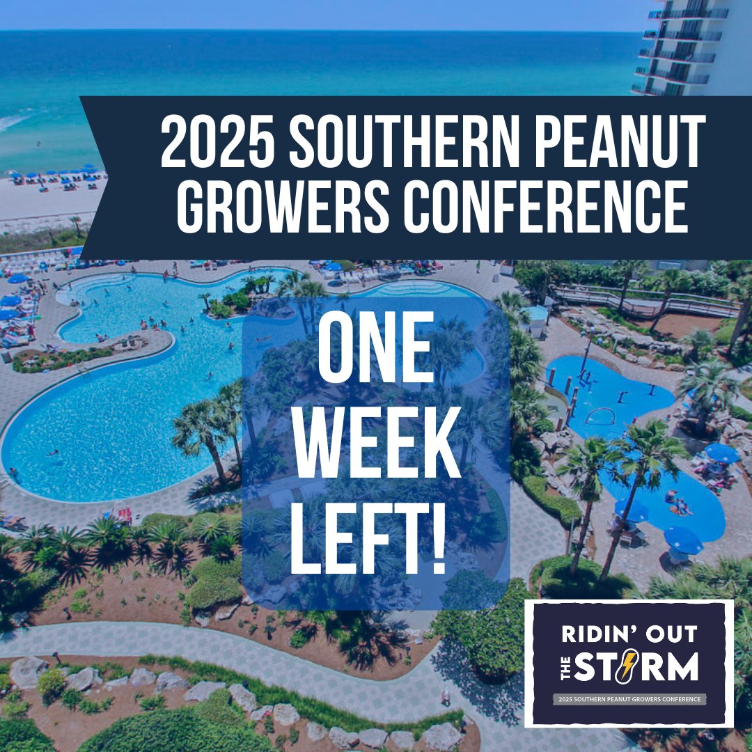 ☀️ We’re just one week away from the 2025 Southern Peanut Growers Conference!

We are so excited for you to join us  for a week of valuable industry insights, meaningful connections, and plenty of sunshine. #2025SPGC