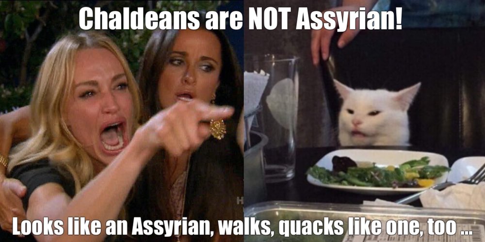 Dan Nestoryan tweet media