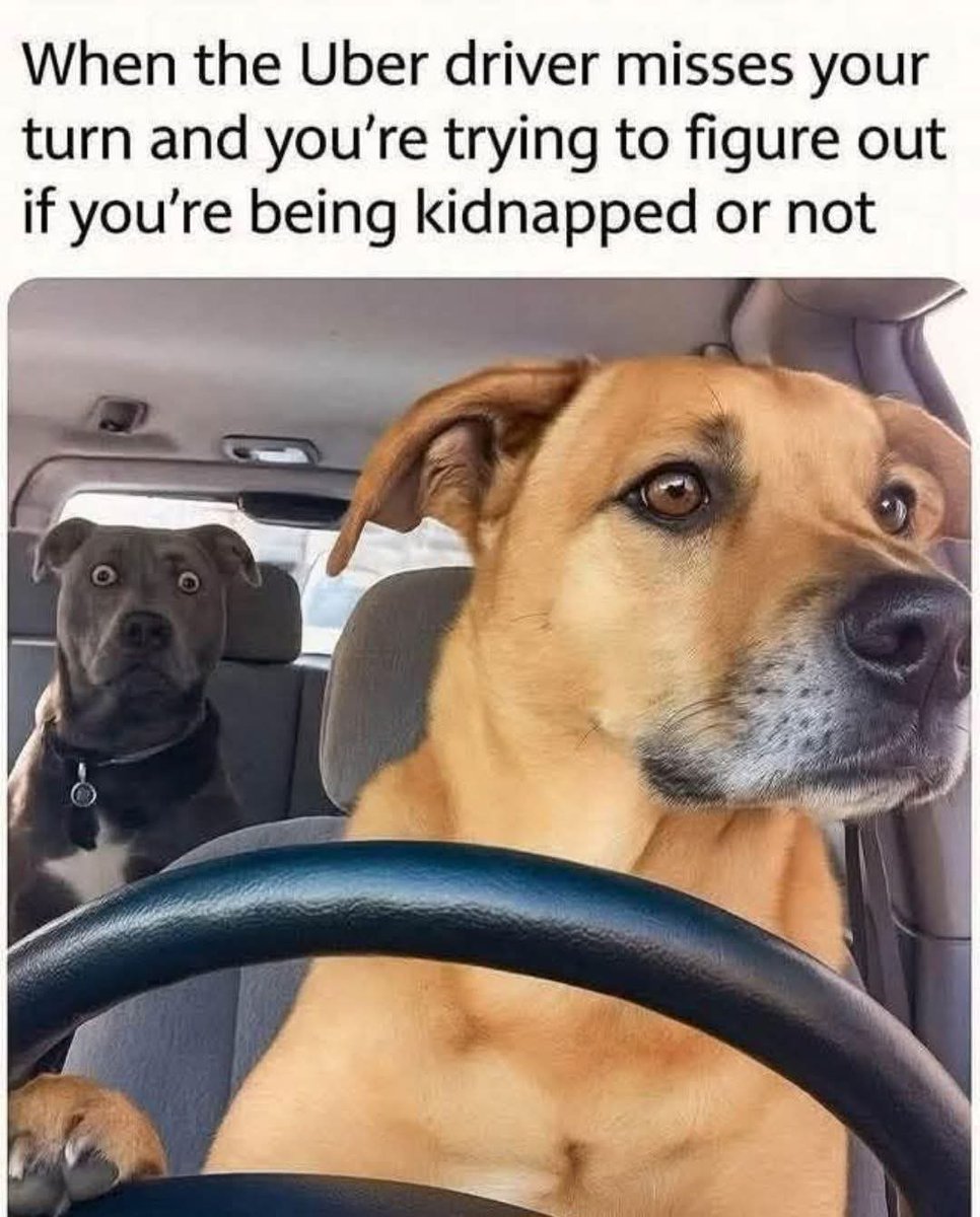 🤣🤣